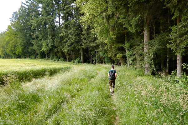 Aussichtsreiche Buchsi- und Wynigenberge