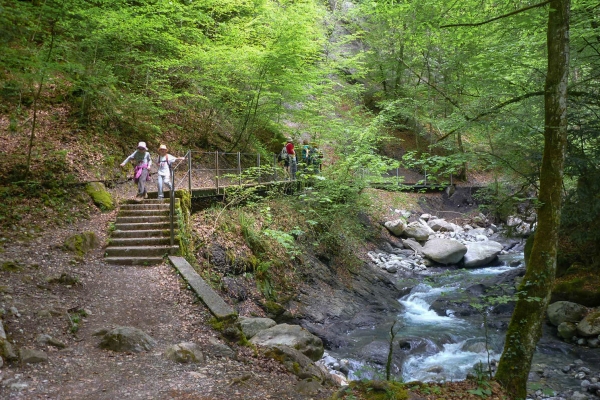 Narcisses et gorge du Chauderon