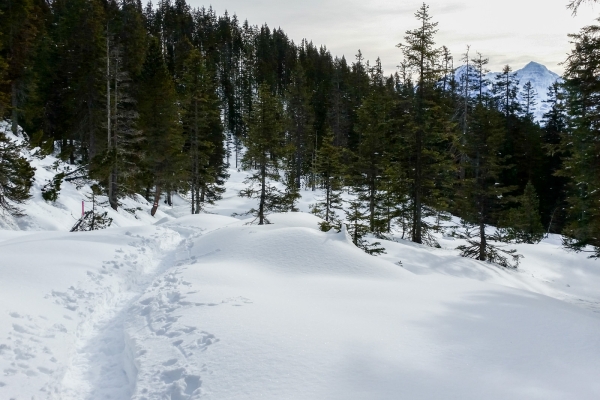 Piste du Chüematte sur le Niederhorn