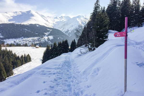 En raquettes près de Sedrun