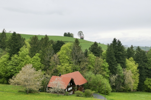 Entraînement dans l’avant-pays appenzellois 