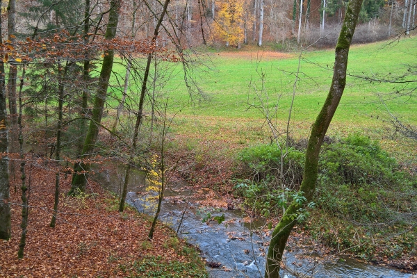 Direction Berne, le long du Gäbelbach