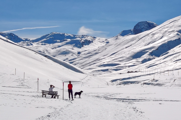 Stille Wintertage im Averstal