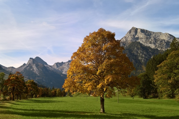 Sur le chemin de la vallée