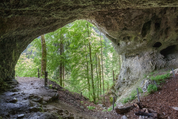 Aux portes de la France sur le Mont d'Or