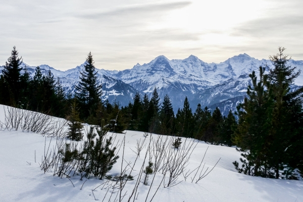 Piste du Chüematte sur le Niederhorn