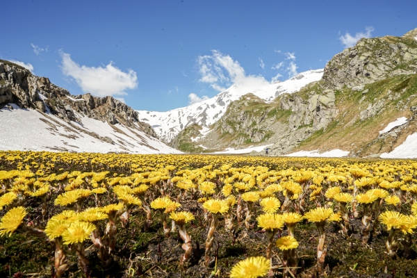 La beauté du haut plateau de Greina