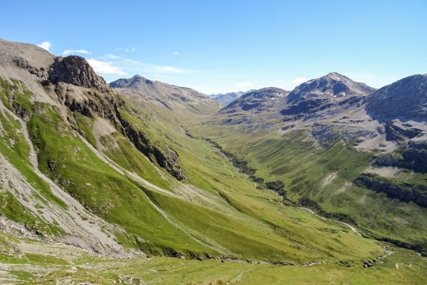 Im Reich von Alpenmohn und Steinbock