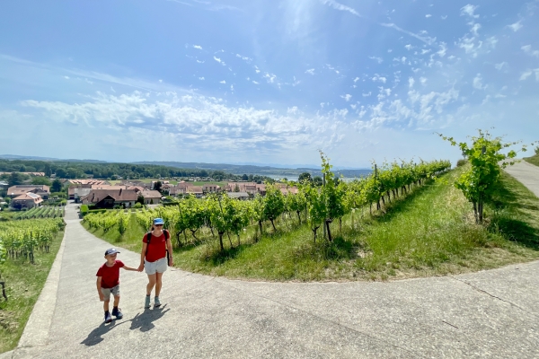 Auf historischen Pfaden am Mont Vully