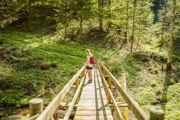 L’Entlebuch par champ, forêt et prairie