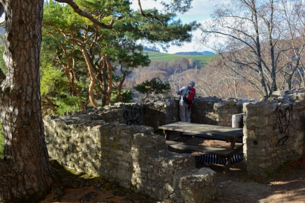 Durch das herbstliche Homburgtal 