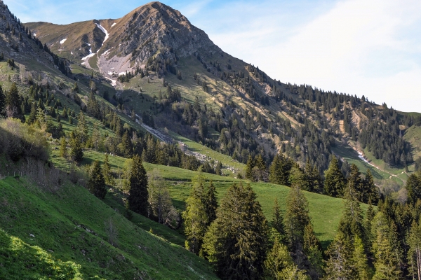 Sur les flancs du Moléson