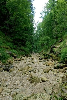 L'eau est ses mystères