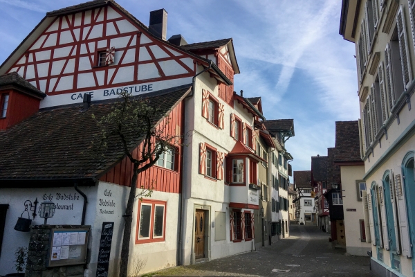 Randonnée panoramique au-dessus du Rhin