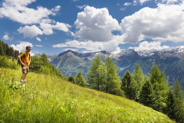 Fleurs et panorama au-dessus du Val Müstair