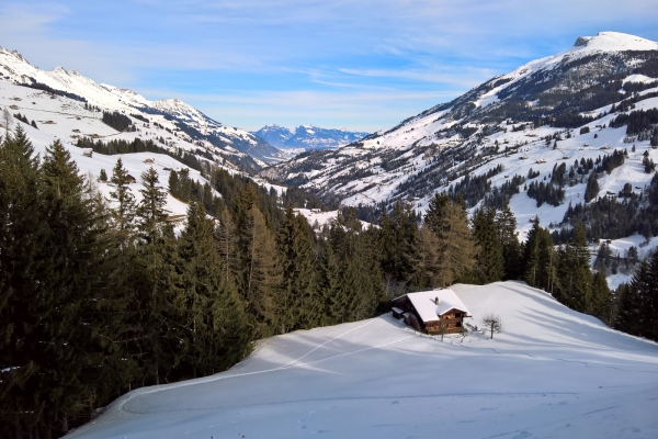 Beau panorama sous le soleil d’Adelboden 