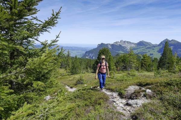 Du Bleikechopf au Chessiloch