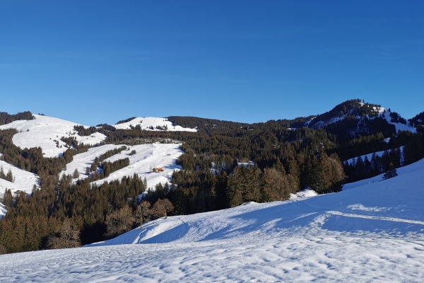 Rundtour auf Schneeschuhen im Greyerzerland