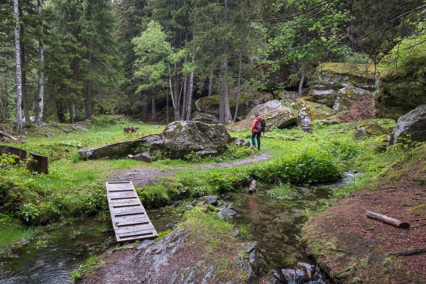 Terrasses abruptes sur les hauteurs de Naters