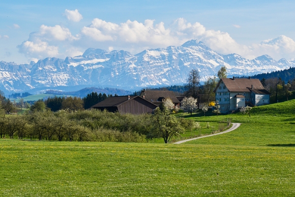 Unterwegs im Fürstenland II