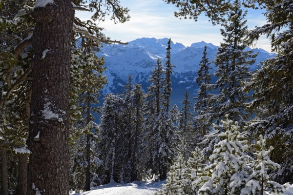 Schneeschuhtour am Niederhorn