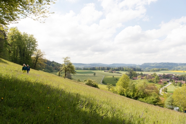 Dans la vallée inférieure de la Töss