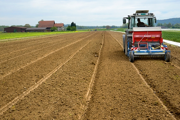 Asperges et vignes du Weinland zurichois