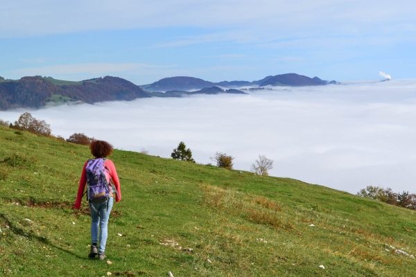 Durch die Wolfsschlucht im Naturpark Thal