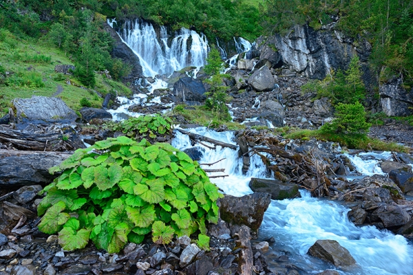 Im Zeichen des Wassers