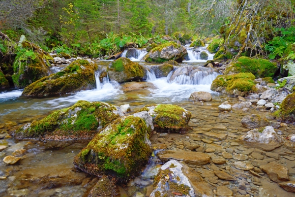 Zu den Quellen der Vièze