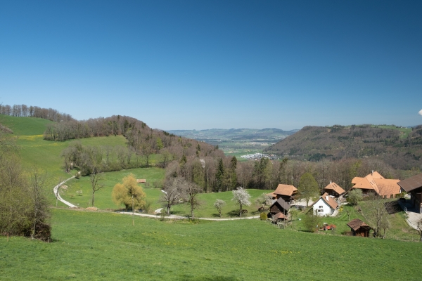 Lungo il sentiero alto della valle della Gürbe