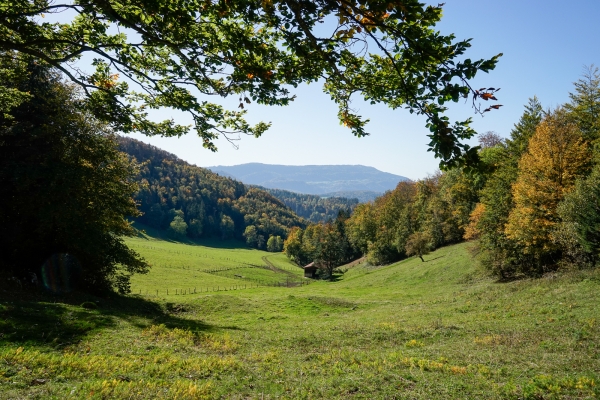 Zum Welschgätterli im Solothurner Schwarzbubenland