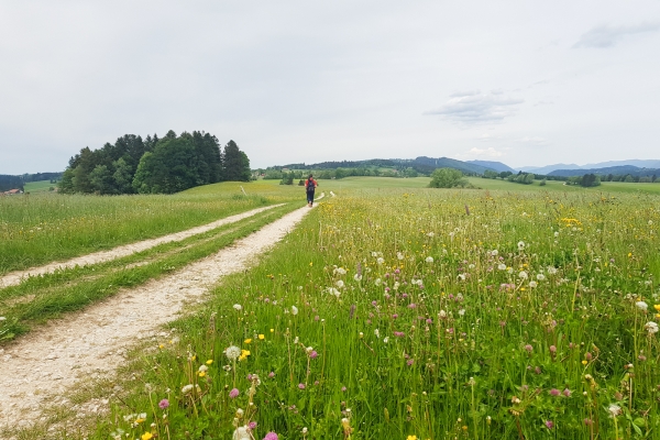 L’énergie dans le Jura bernois