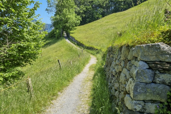 Aussichtsreiche Frühlingstour über dem Walensee