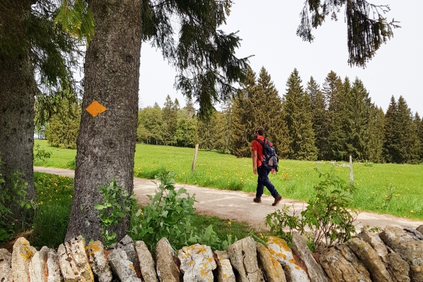 Fonti energetiche nel Giura bernese