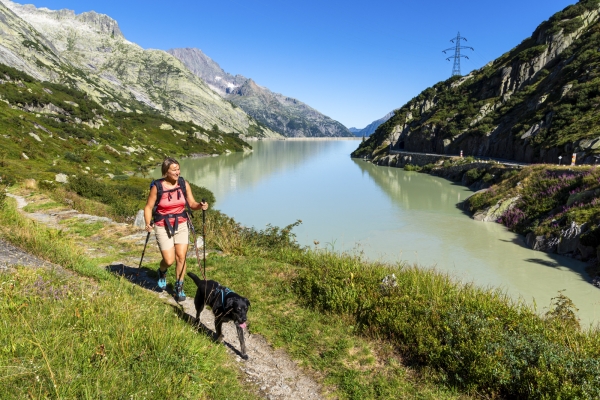 Betriebsamkeit und Ruhe am Grimselpass