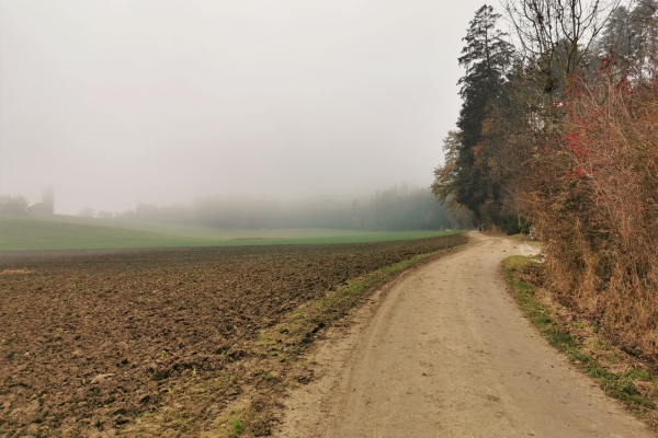 Weitsicht im Luzerner Hinterland