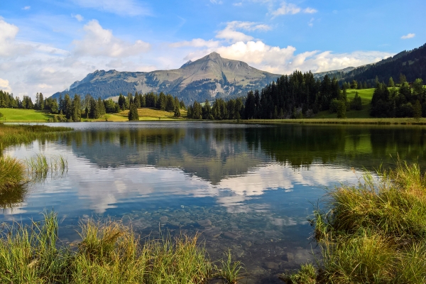 Das Saanenland von oben