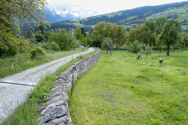 Balade contemplative dans le Domleschg