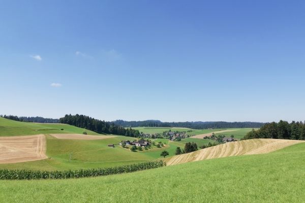 Escursione in altura nell’Alta Argovia