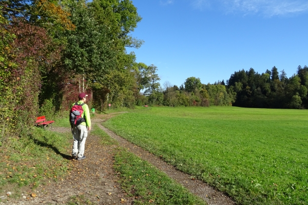 Beschauliche Landschaften im Mittelland