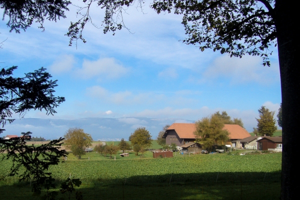 Wanderung zur Buchegger Kyburg