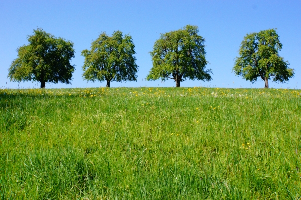 Raus aus der Stadt