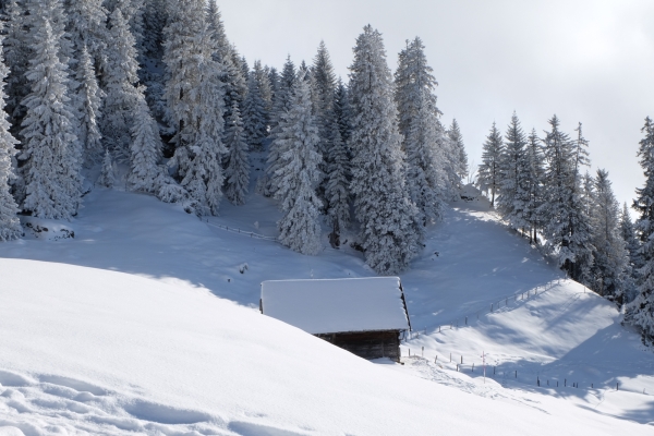 Randonnée en raquettes au Rigi Scheidegg