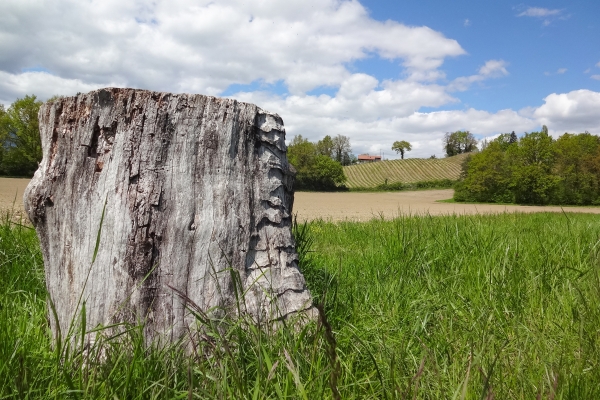 Excursion champagnarde genevoise