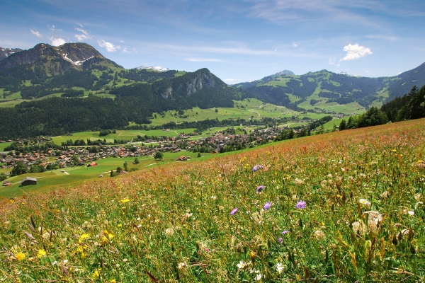 Du plateau des Mosses au Pays-d’Enhaut