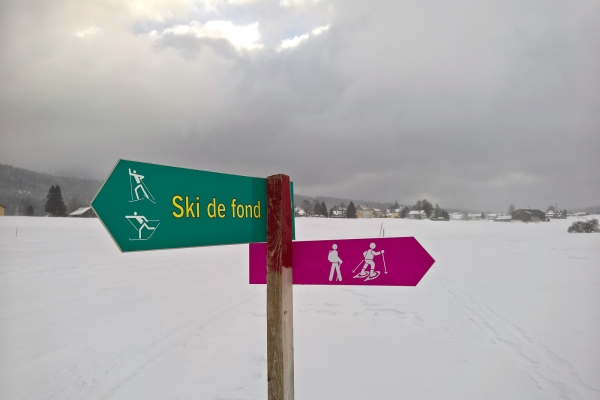 Sur le haut-plateau du Col des Etroits