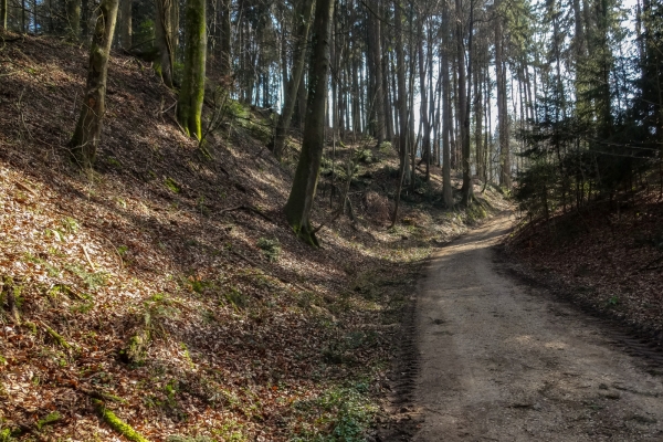 Mit dem Bielersee im Rücken