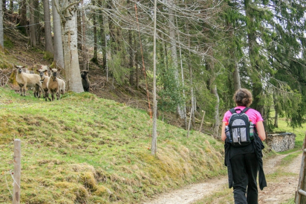 Höhenwanderung im Emmental