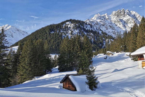 Schneeschuhtour hoch über dem Urner Reusstal